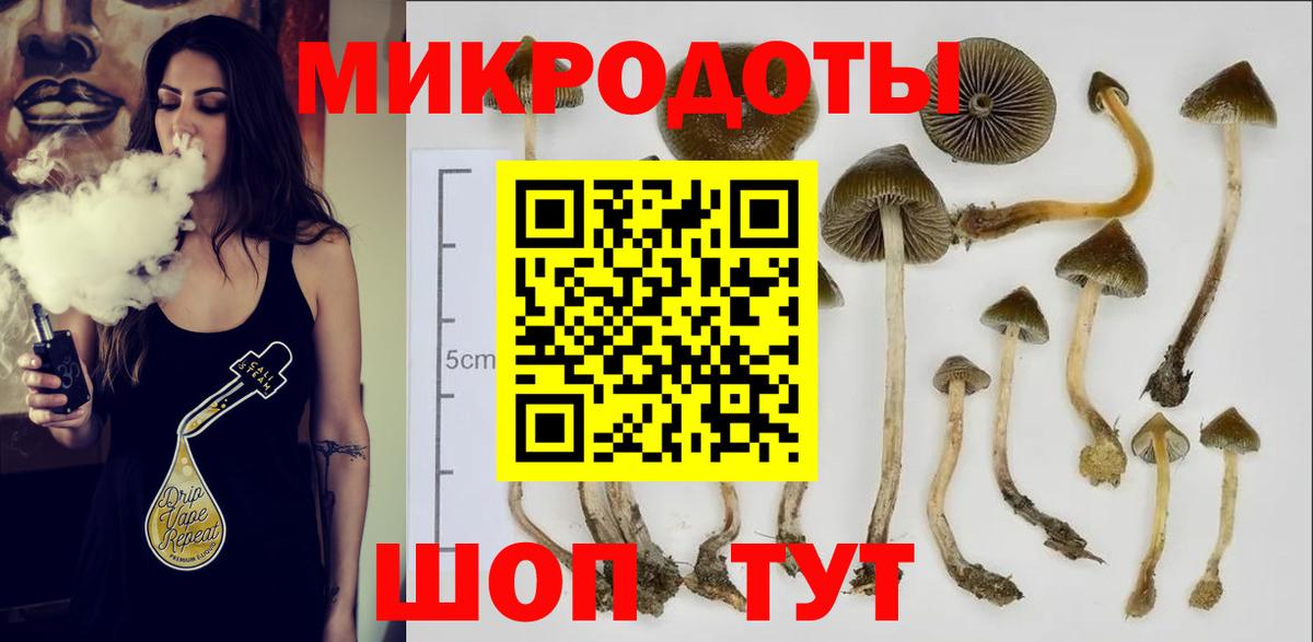 Псилоцибиновые грибы мухоморы  Вход с VPN  Орехово-Зуево 